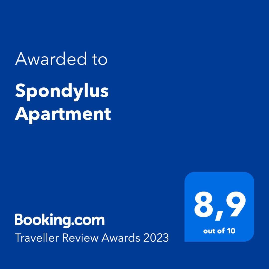 Spondylus Apartment エンプリアブラバ 部屋 写真